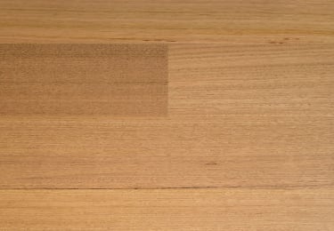 Tasmanian Oak 136